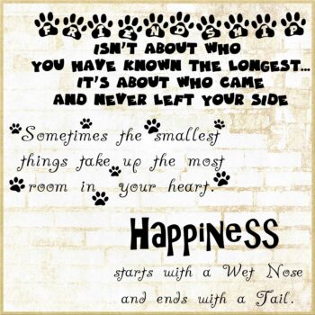 NEW Dog Quotes, Puppy digital quotes, Fun Pet Sayings 14132 - Baer ...